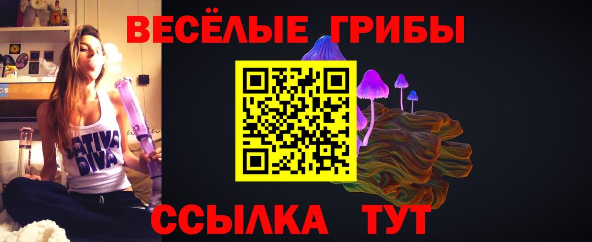Новочеркасск  Псилоцибиновые грибы Magic Shrooms  Вход с VPN 